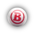 Bingo Icon